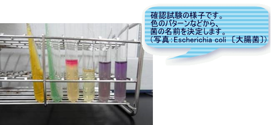 同定検査