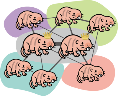 Quantitative and systematic behavioral profiling reveals social complexity in eusocial naked mole-rats, Kyoko Miura (Department of Longevity and Stem Cell Biology)