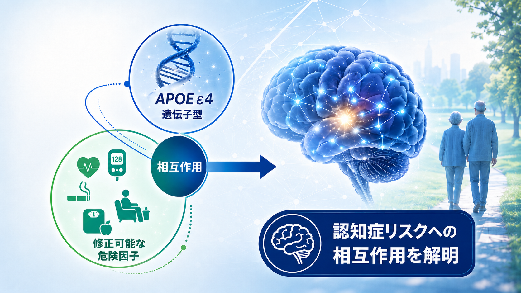 "APOE&epsilon;4, modifiable risk factors, and dementia in community-based older Japanese adults" Professor Toshiharu Ninomiya (Epidemiology and Public Health) and research fellow Masaya Kumamoto