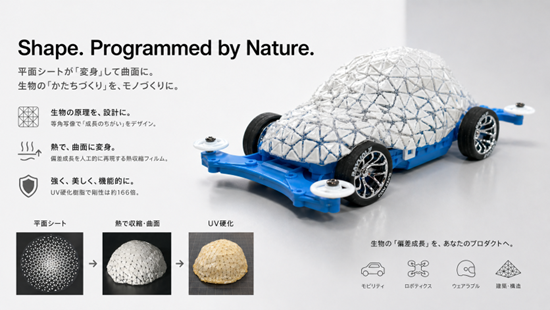 "Artificial morphogenesis of curved surface structures inspired by differential growth in biology" Assistant Professor Keisuke Matsuda (Anatomy and Cell Biology)