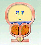 �R�j���z�������܍�p�@��